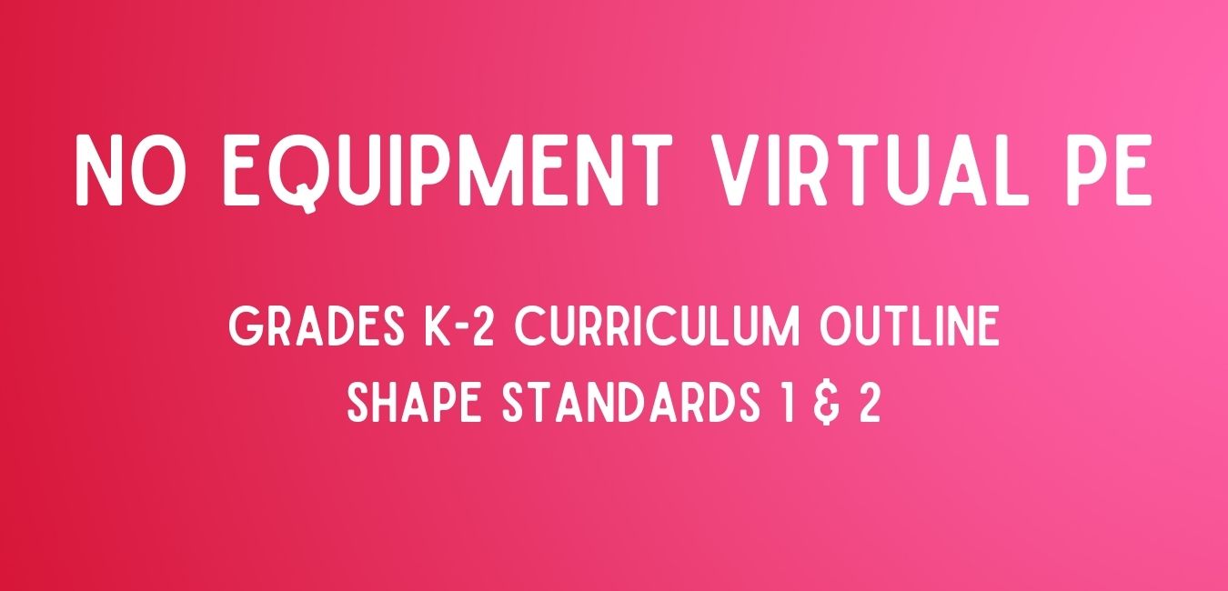virtual curriculum